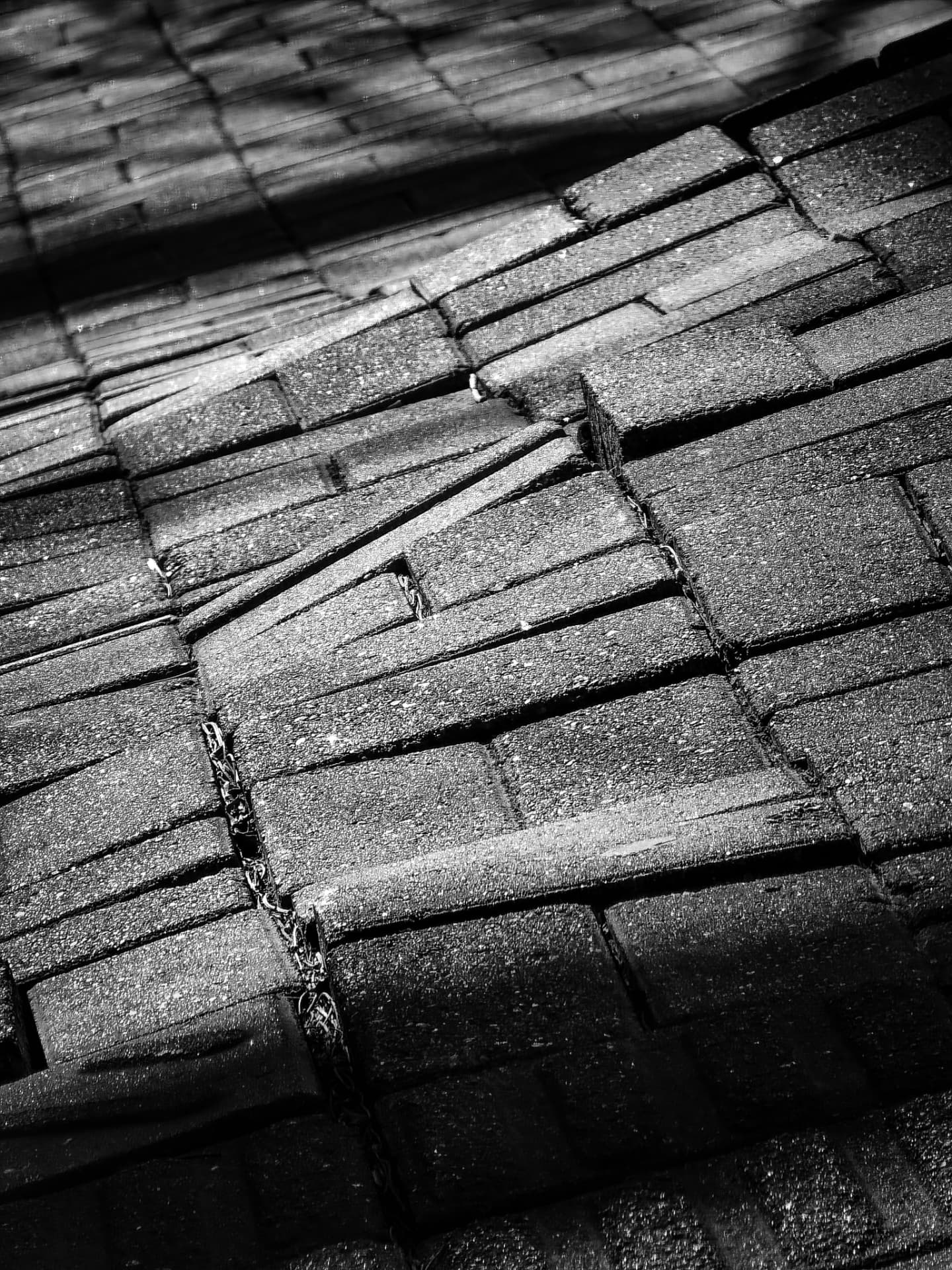 What to Do After a Storm Damages Your Roof
