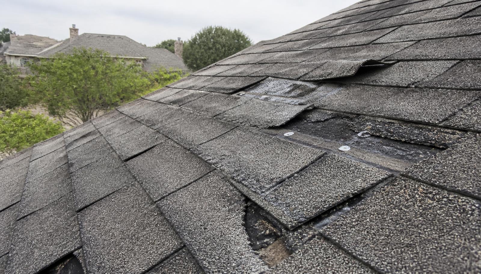 7 Signs Your Roof Needs Repair